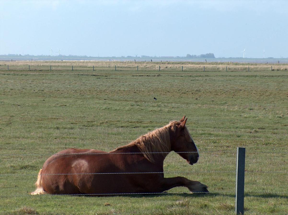 Seevilla Wietjes Whg 3 Baltrum Exterior photo